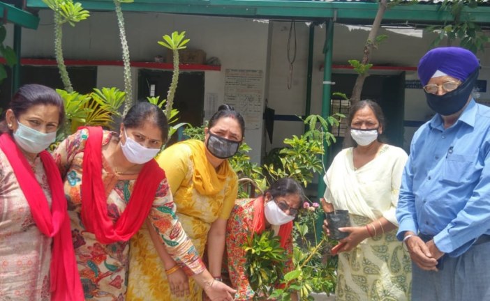 असहाय जन कल्याण सेवा समिति ने स्कूलों में लगाए पौधे