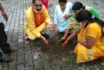 भाजपा नेता दिनेश रावत ने कार्यकर्ताओं के साथ किया पौधारोपण, पौधों की सुरक्षा का लिया संकल्प