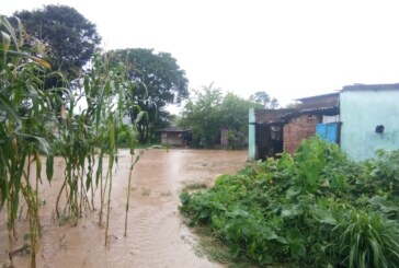 बुल्लावाला मैं बाढ़ का कहर,लोगों के घरों में घुसा पानी