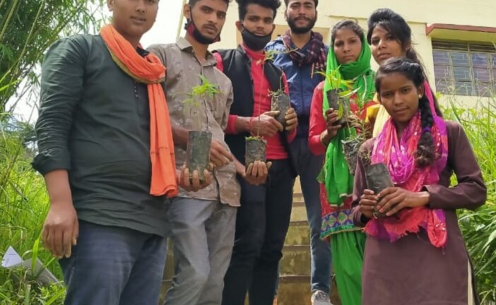 अखिल भारतीय विद्यार्थी परिषद ने किया वृक्षारोपण