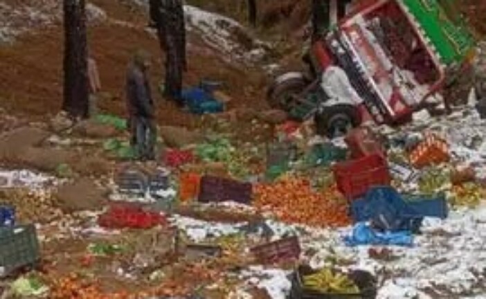 सब्जी से भरा ट्रक खाई में गिरा, चालक घायल